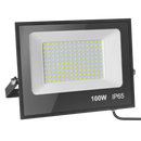 100W LED Flood Light