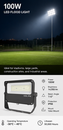 100W LED Flood Light