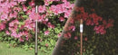 Solar Garden Light-11046