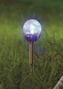 Solar Garden Light-11058