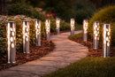 Solar Garden Light-11118