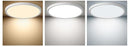12'' Flush Mount Ceiling light - 3CCT