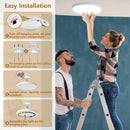 12'' Flush Mount Ceiling light - 3CCT