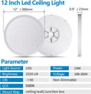 12'' Flush Mount Ceiling light - 5K-blue box