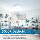 12'' Flush Mount Ceiling light - 5K-blue box