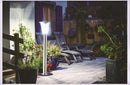 Solar Garden Light-14011