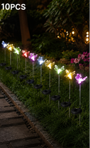 Solar Garden Light-21156