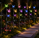 Solar Garden Light-21229