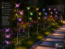 Solar Garden Light-21229