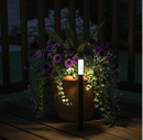 Solar Garden Light-23224