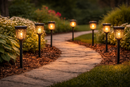 Solar Garden Light-23289