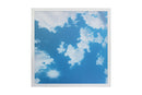 LED Sky Back-lit Panel Light