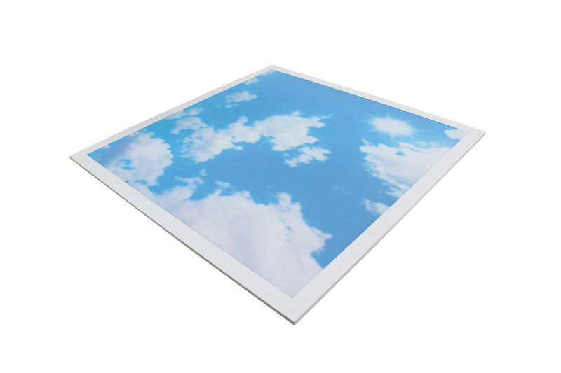 2'x2' LED Sky Back-lit Panel Light