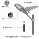 600W Solar Street Light-BM