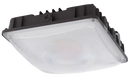 LED Canopy Light