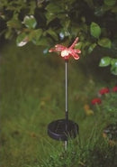 Solar Garden Light-21156